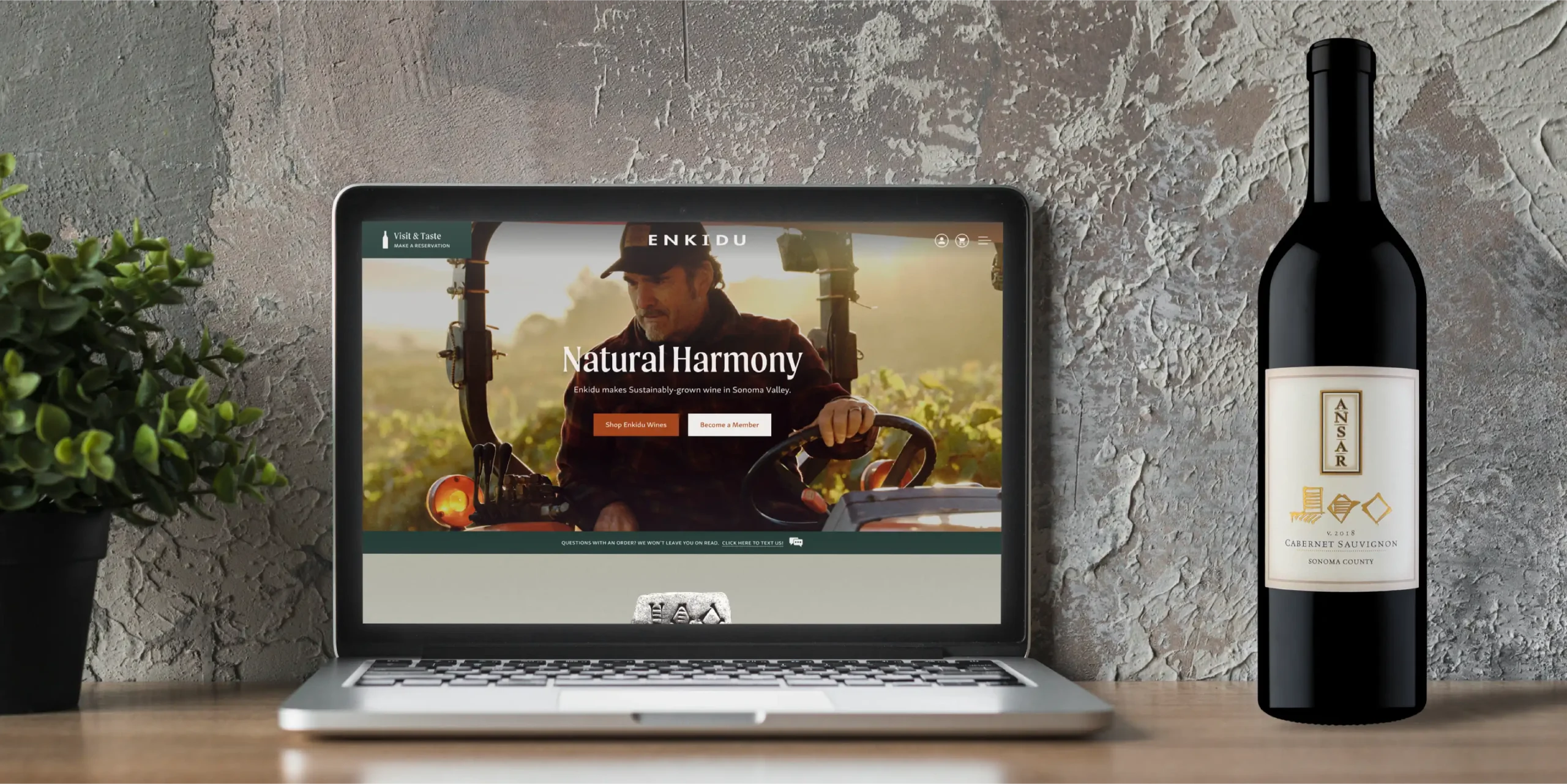 Blue Otter Corporation Expands Services to E-Commerce Solutions for Wineries with Stem Creative